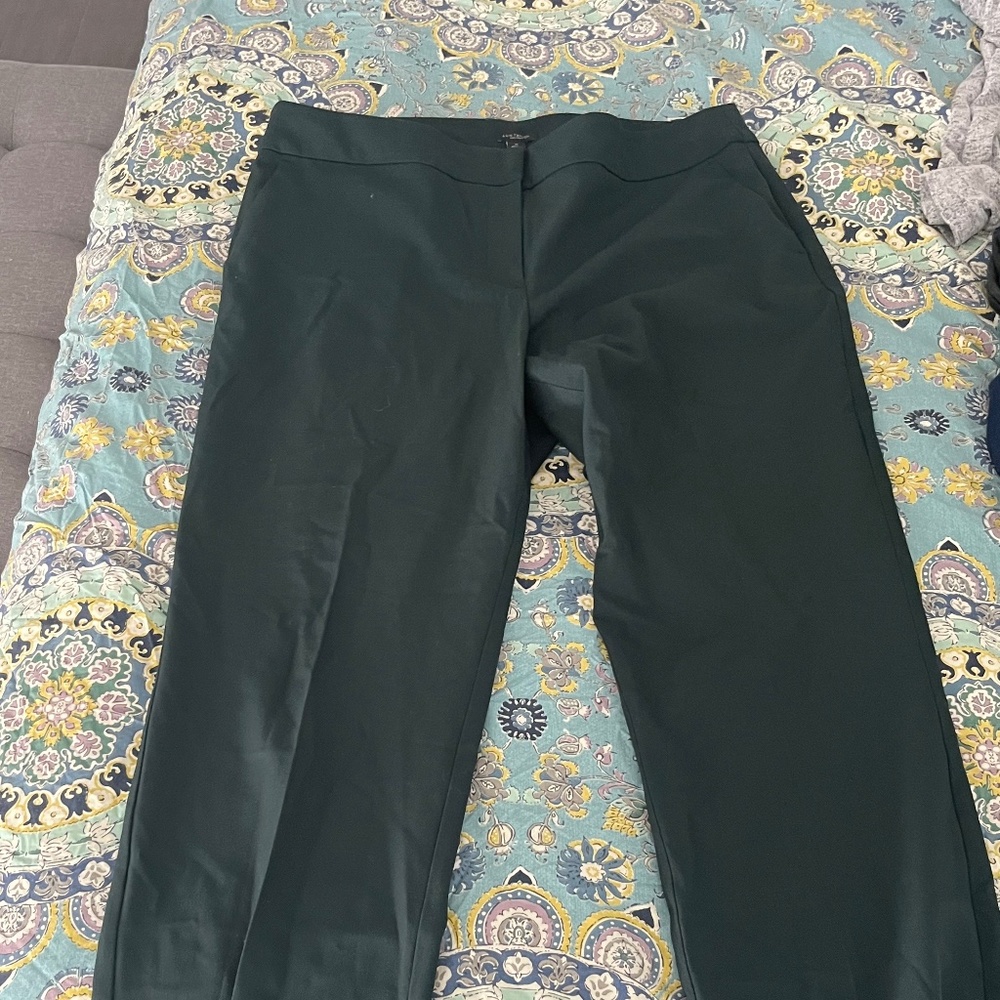 Ann Taylor Green Olive Pants